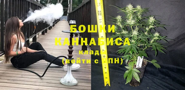амф Тавда