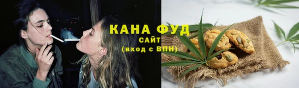 дурь Сясьстрой