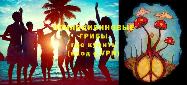 амф Тавда