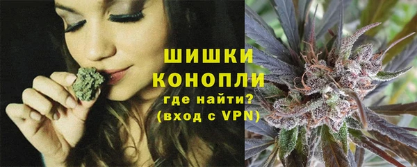 дурь Сясьстрой