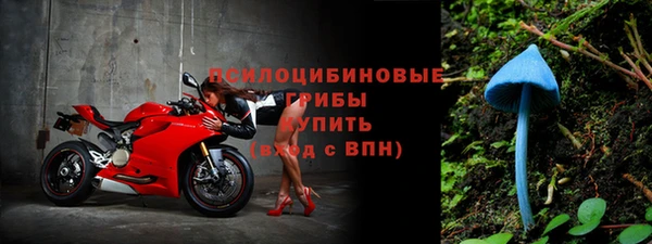 амф Тавда